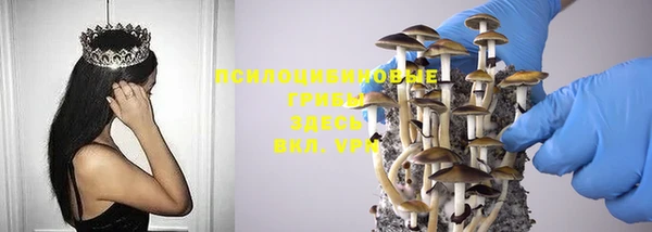 герыч Нея