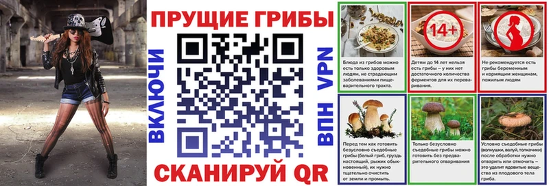darknet телеграм  Петровск  Галлюциногенные грибы Psilocybine cubensis 