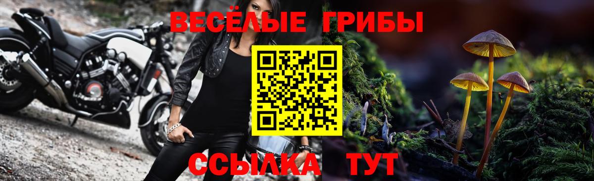 Галлюциногенные грибы прущие грибы  Вход с VPN  сколько стоит  Петровск 
