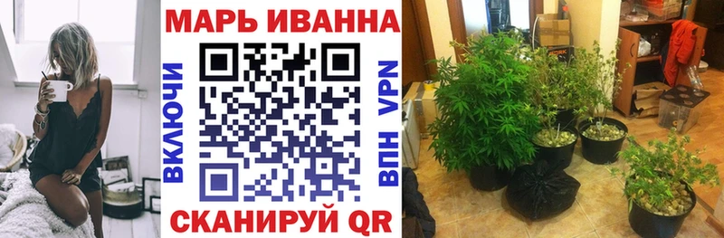 Канабис планчик  где можно купить   Петровск 